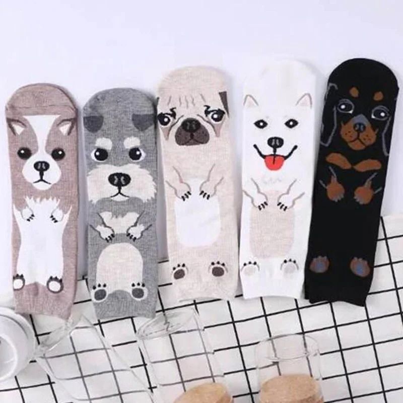 5 أزواج/عبوة جوارب كرو مبتكرة  - مراجعة Cotton Crew Sock Pack وسعره